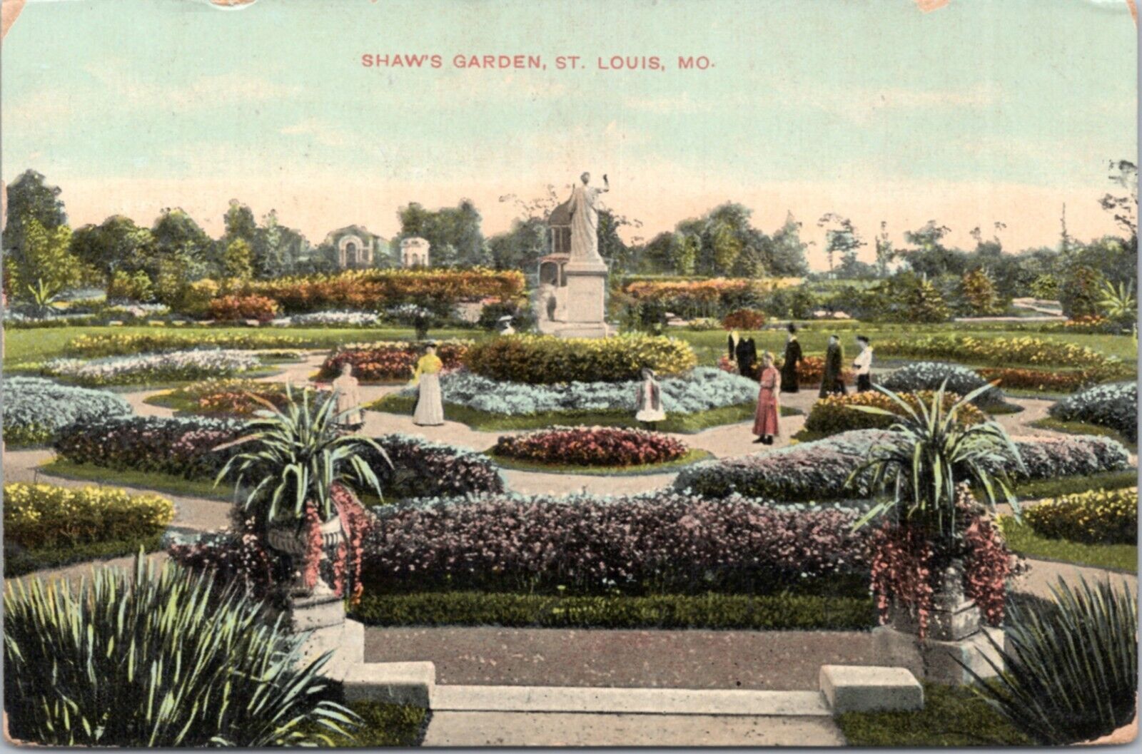 Postcard MO St. Louis  Shaw\'s  Garden