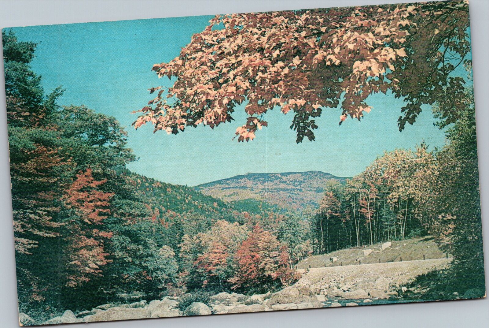 Postcard WA Steven's Pass Highway