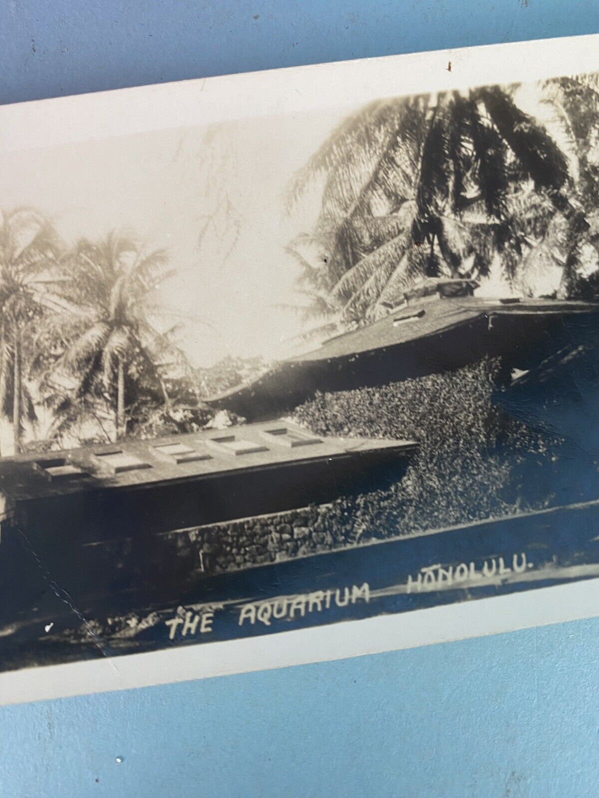 1930's Waikiki Aquarium Different View Hawaii