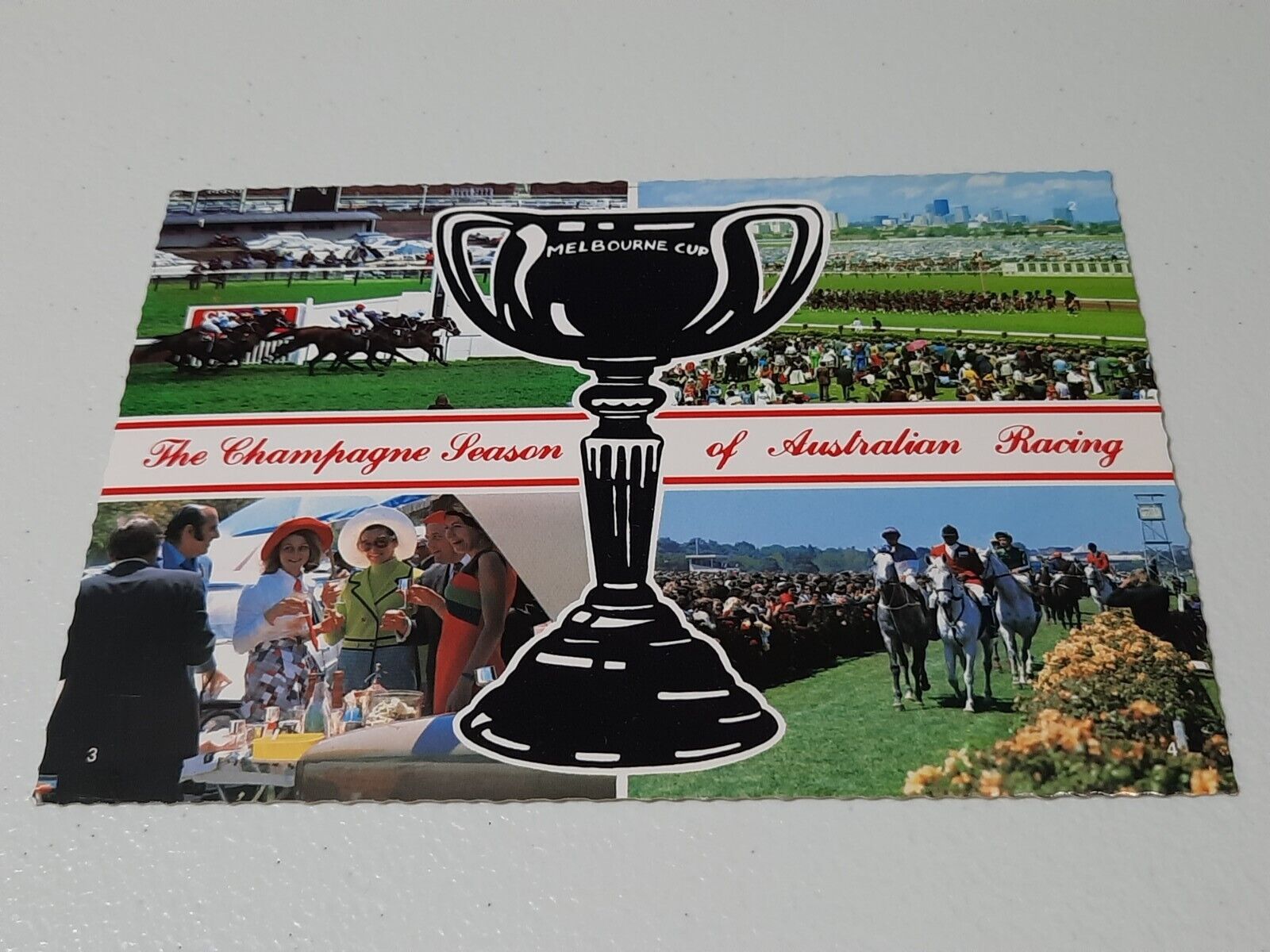 Flemington Racecourse Melbourne Cup Australia Horse Racing Vintage Postcard