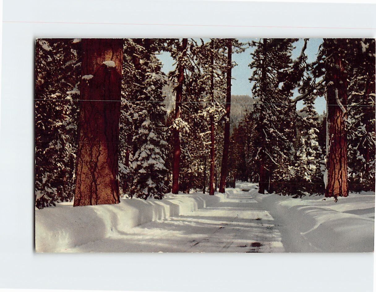 Postcard Winter in Northern California USA