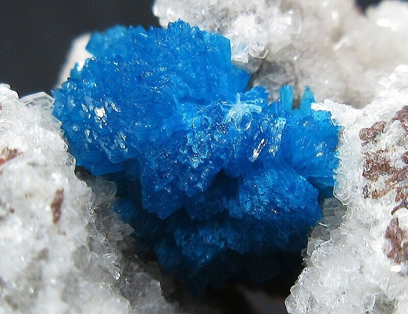 23g exquisite flowery Cavansite crystal mineral specimen,India