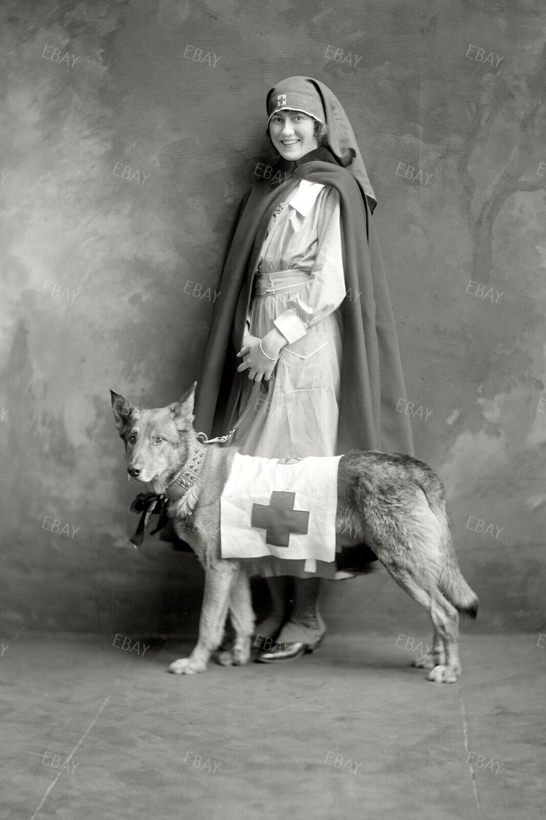 13x19 Poster Print 1910s Woman Dog Red Cross Holton Arms School Washington DC