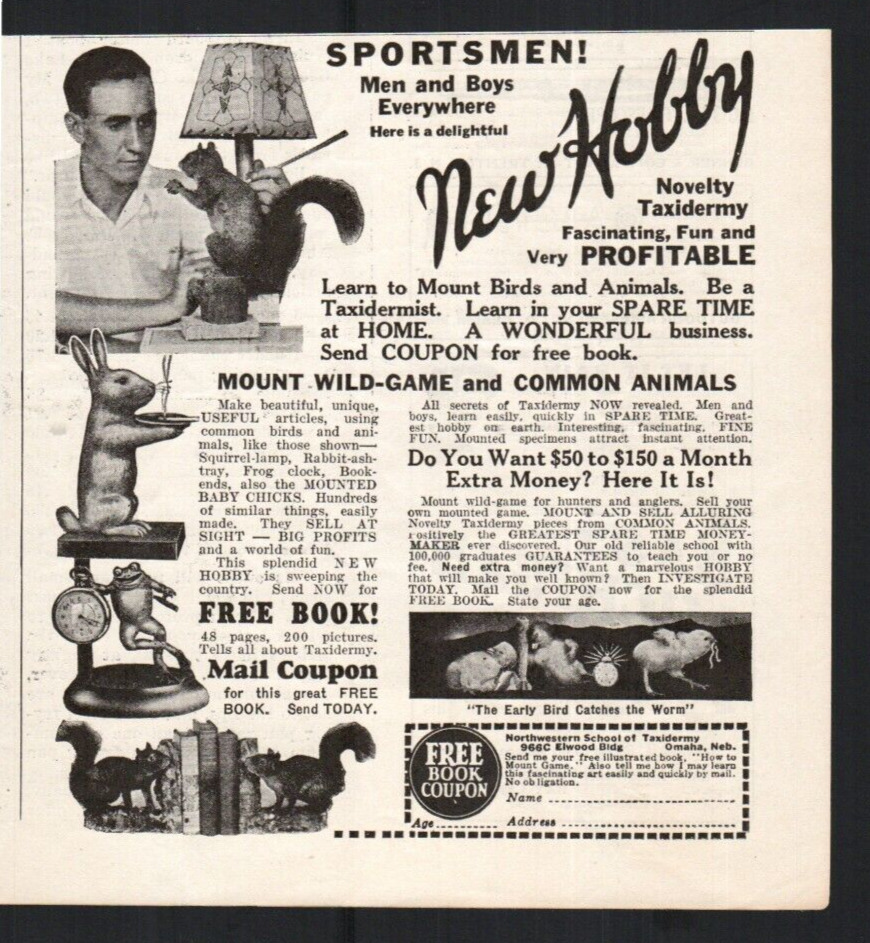 1931 Vintage Old Print Ad Learn Taxidermy Northwestern School Advertising #3