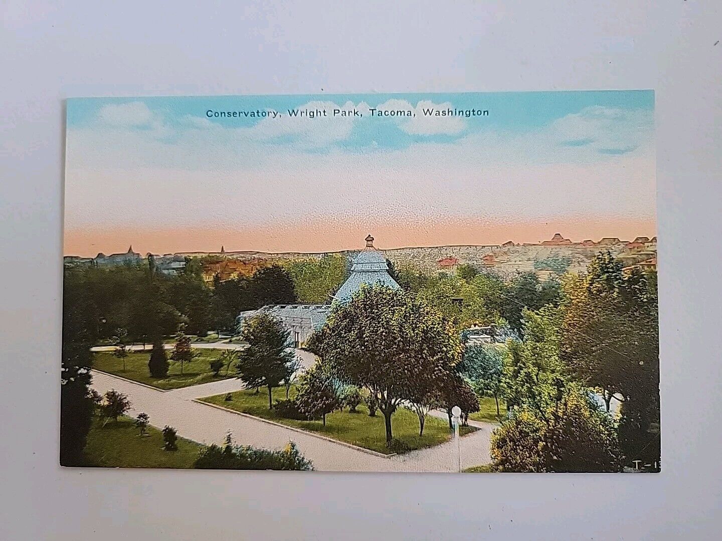 vintage postcard Conservatory Wright Park Tacoma Washington Unposted Scenic