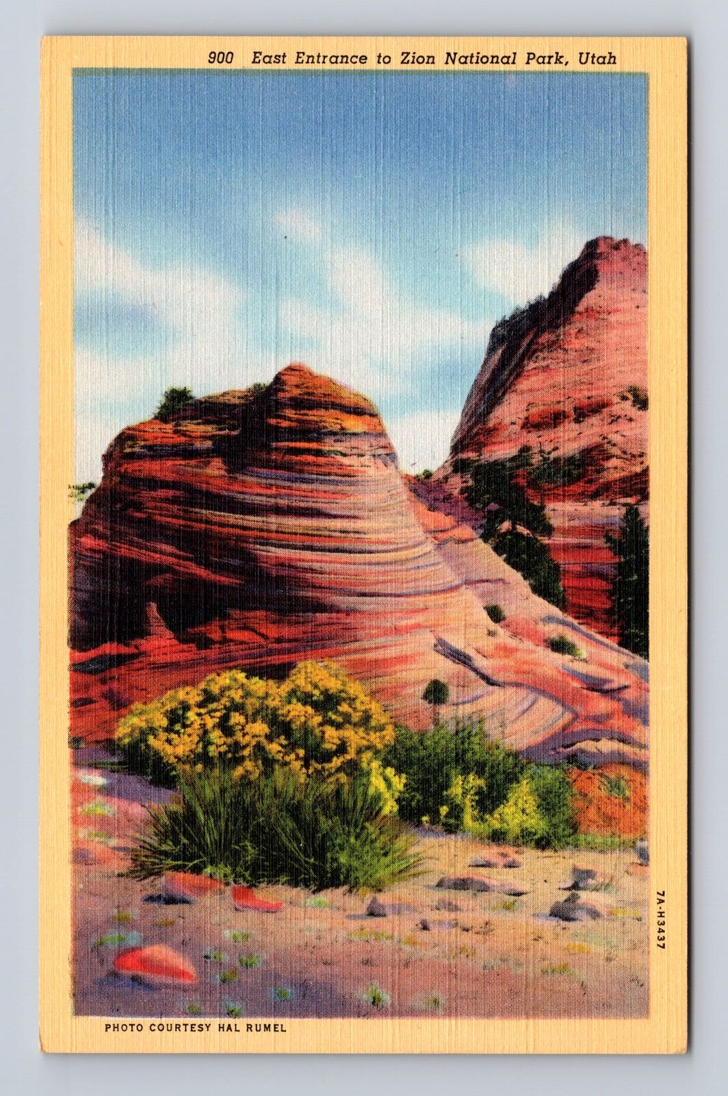 Zion National Park, East Entrance, Series #900, Vintage Souvenir Postcard