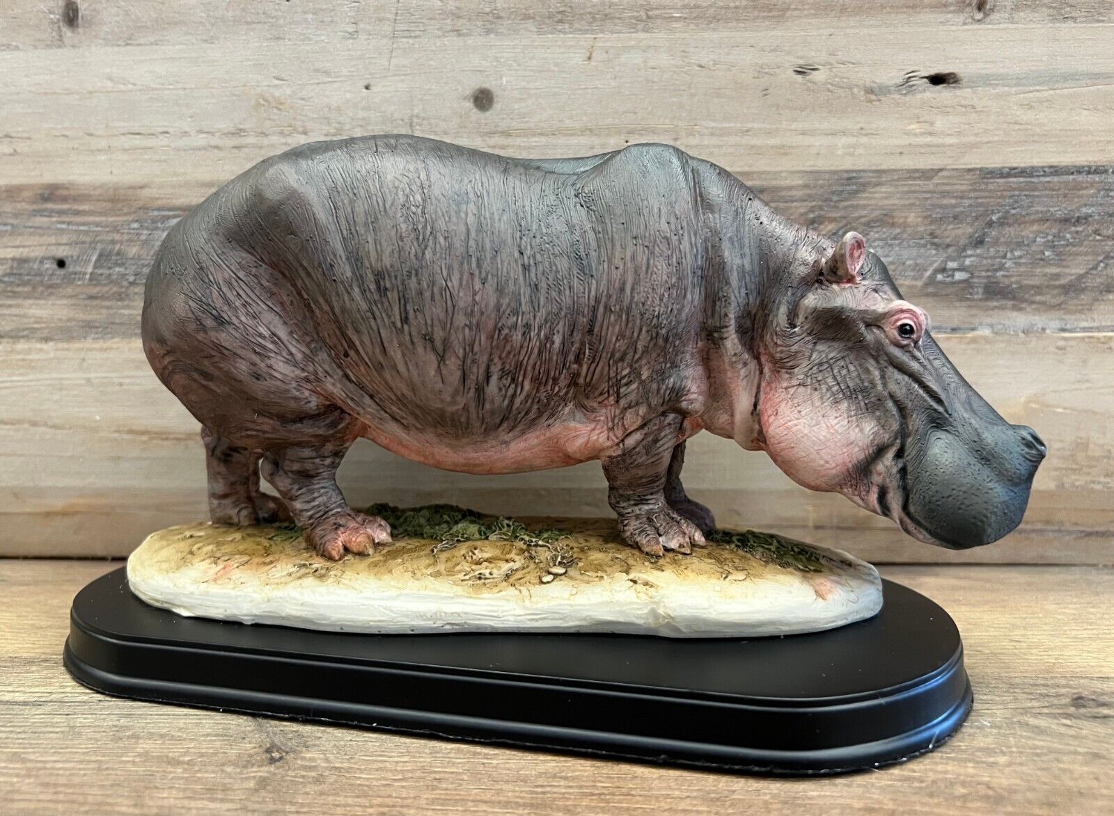 Hippopotamus Resin Figurine 10.5\