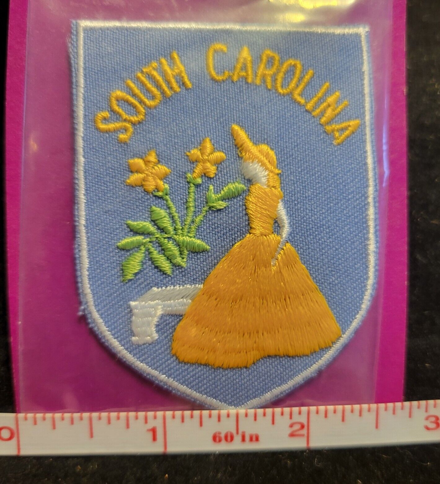 Vintage on Card South Carolina State Travel Souvenir Iron On Patch SC Voyager