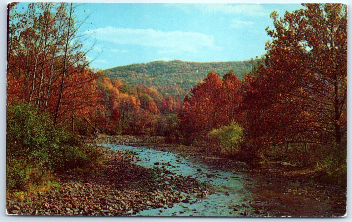 Postcard - Nature Scenery
