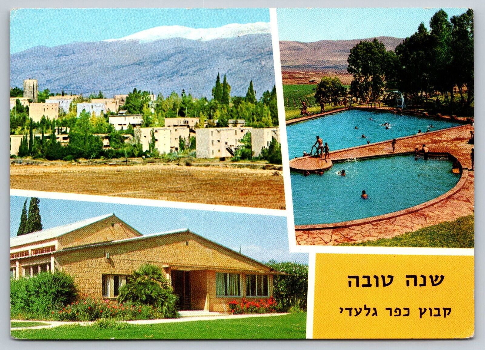 Postcard Israel Multi-view  c1969 12K