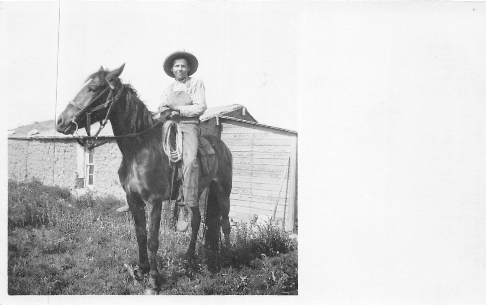 J43/ Interesting RPPC Postcard c1910 Animal Cowboy Lasso Hat Horse 283