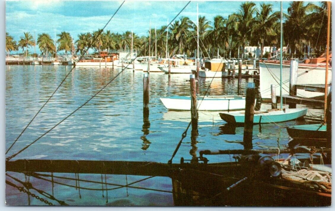 Postcard - Typical Yacht Basin - Florida