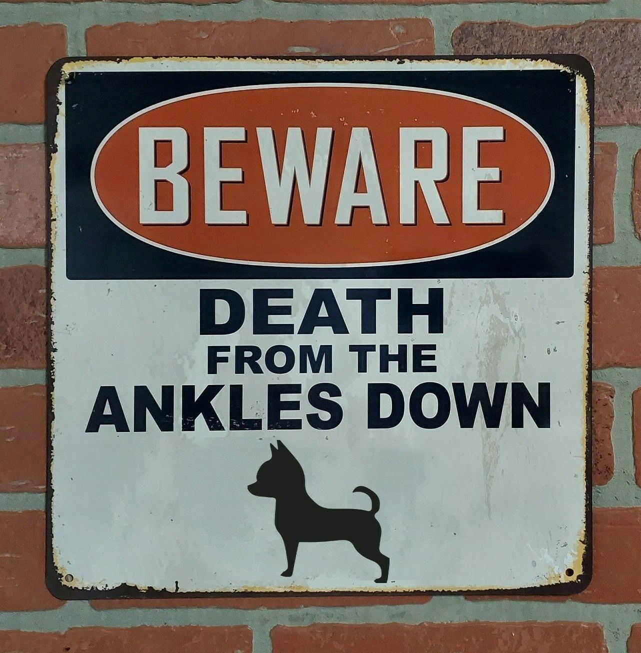  Funny Beware Sign- Chihuahua - Great For The She Shed, Man ,Cave, Garage, Home