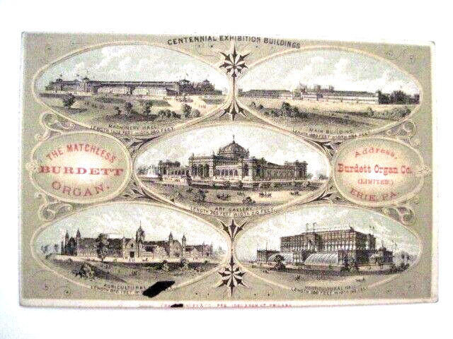 Amazing Victorian Trade Card \
