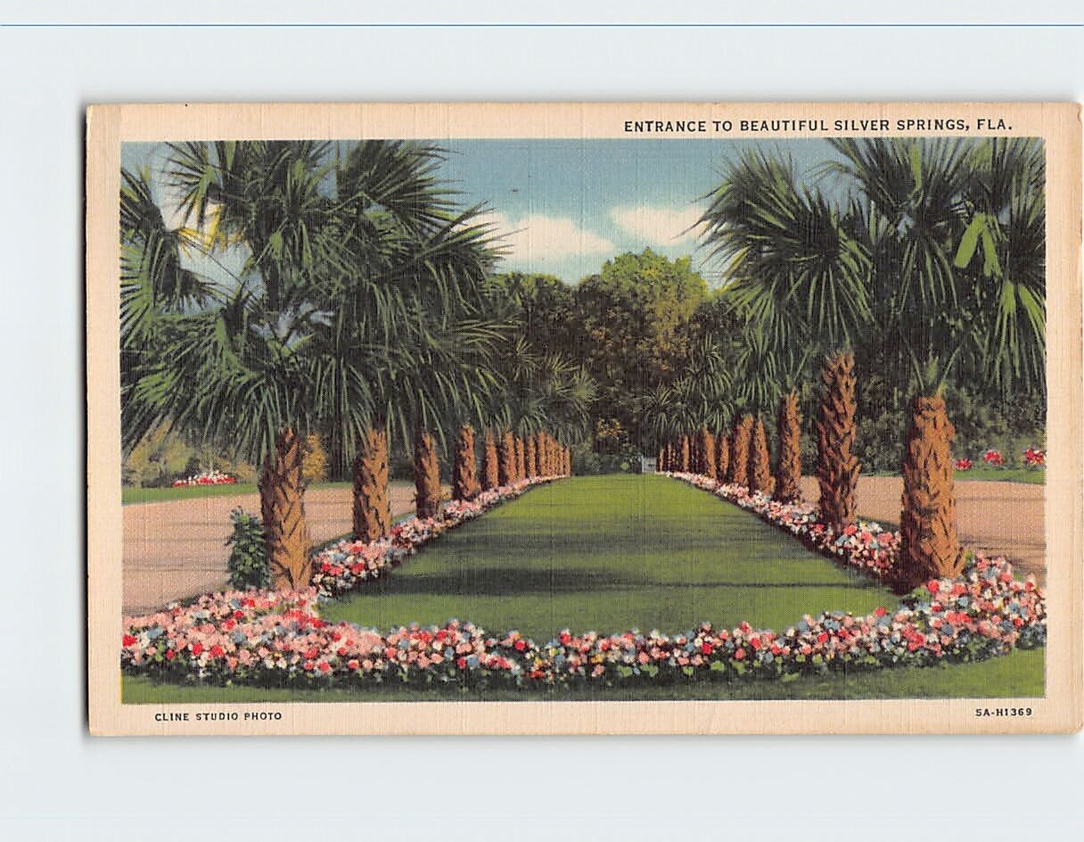 Postcard Entrance to Beautiful Silver Springs Florida USA