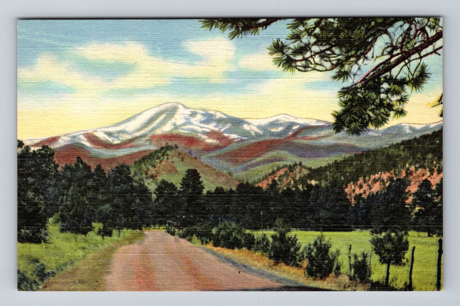White Mountain NM-New Mexico, Sierra Blanca, Ruidoso Highway Vintage Postcard