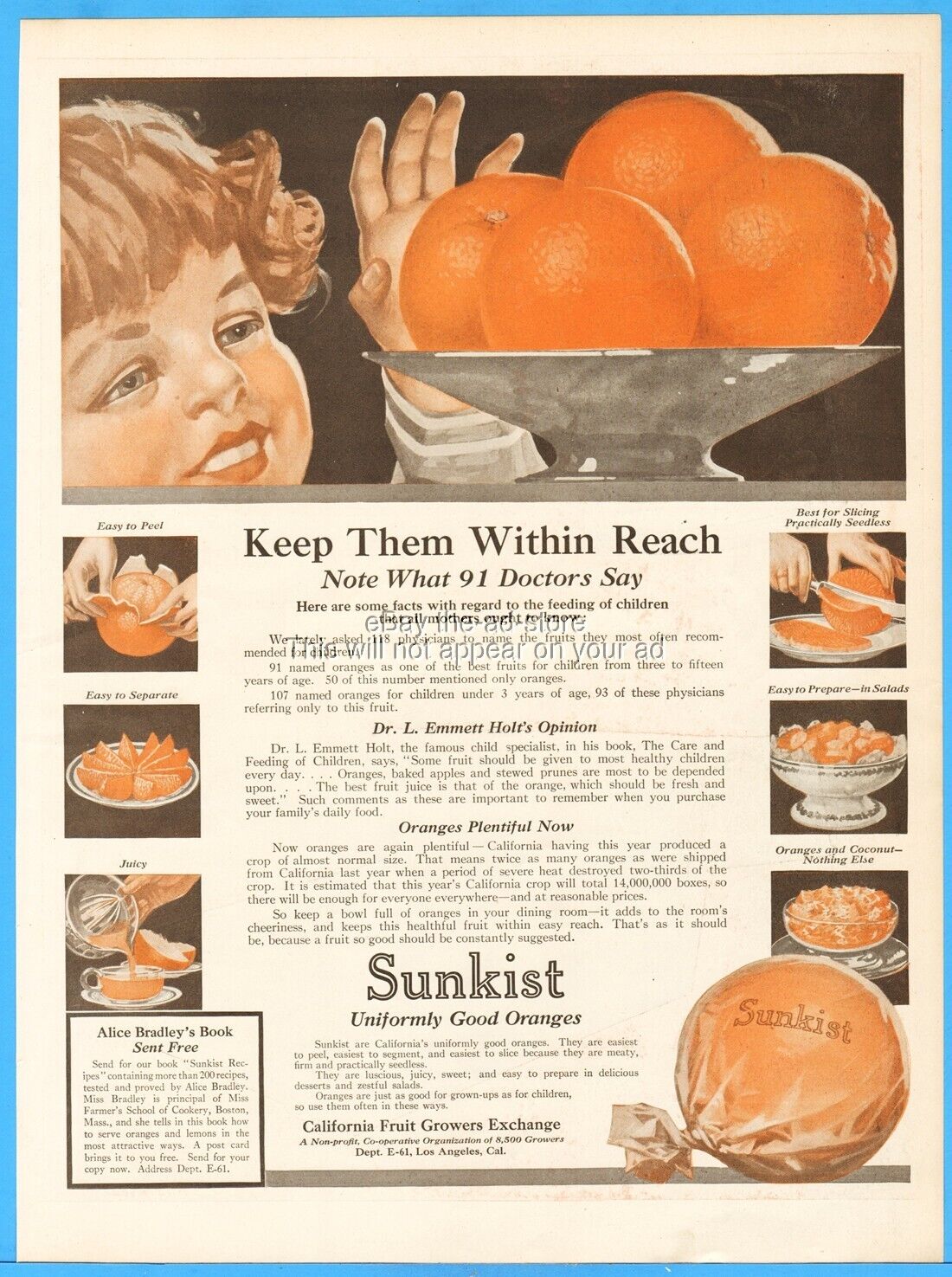1919 Sunkist Oranges California Fruit Growers Exchange Dr Luther Emmett Holt Ad