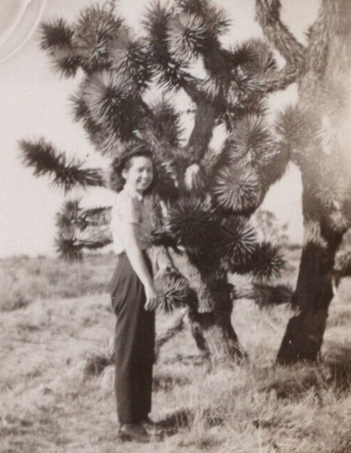 5B Photograph Pretty Woman Poses With Joshua Tree Desert Smiles At Camera 1940\'s