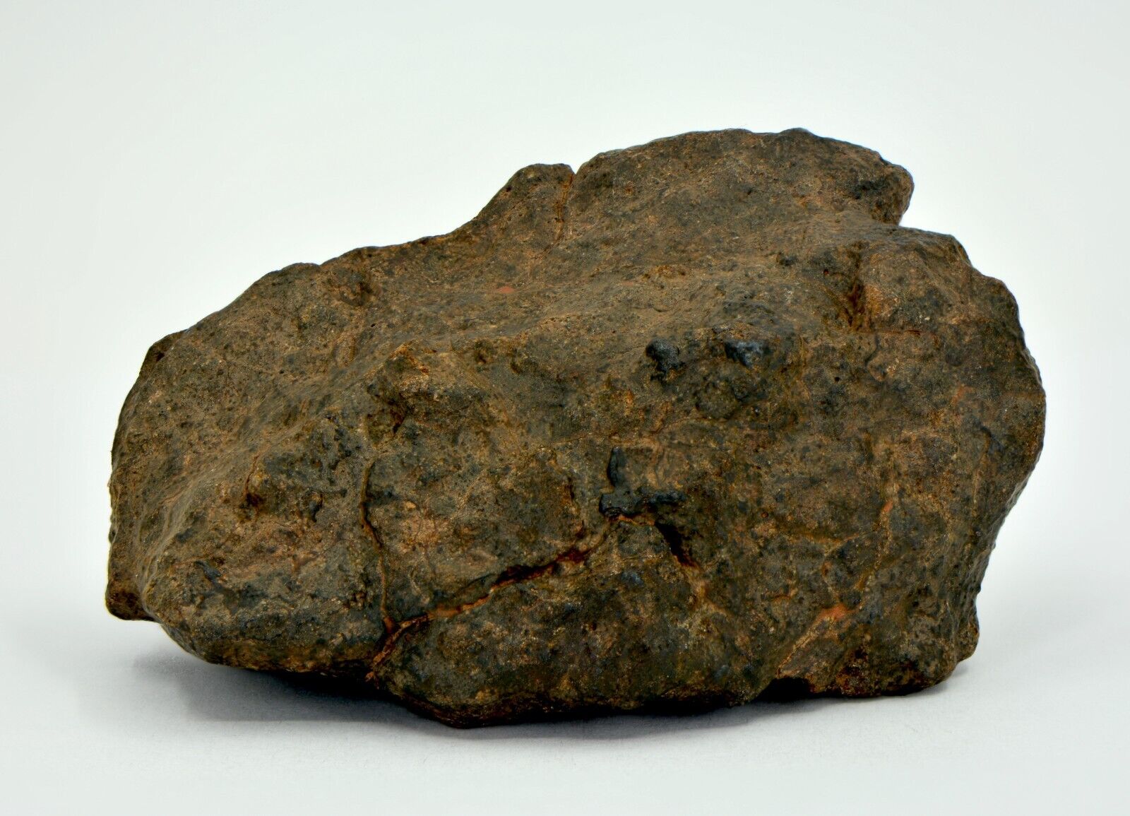 149g Winonaite Primitive Achondrite Meteorite - TOP METEORITE