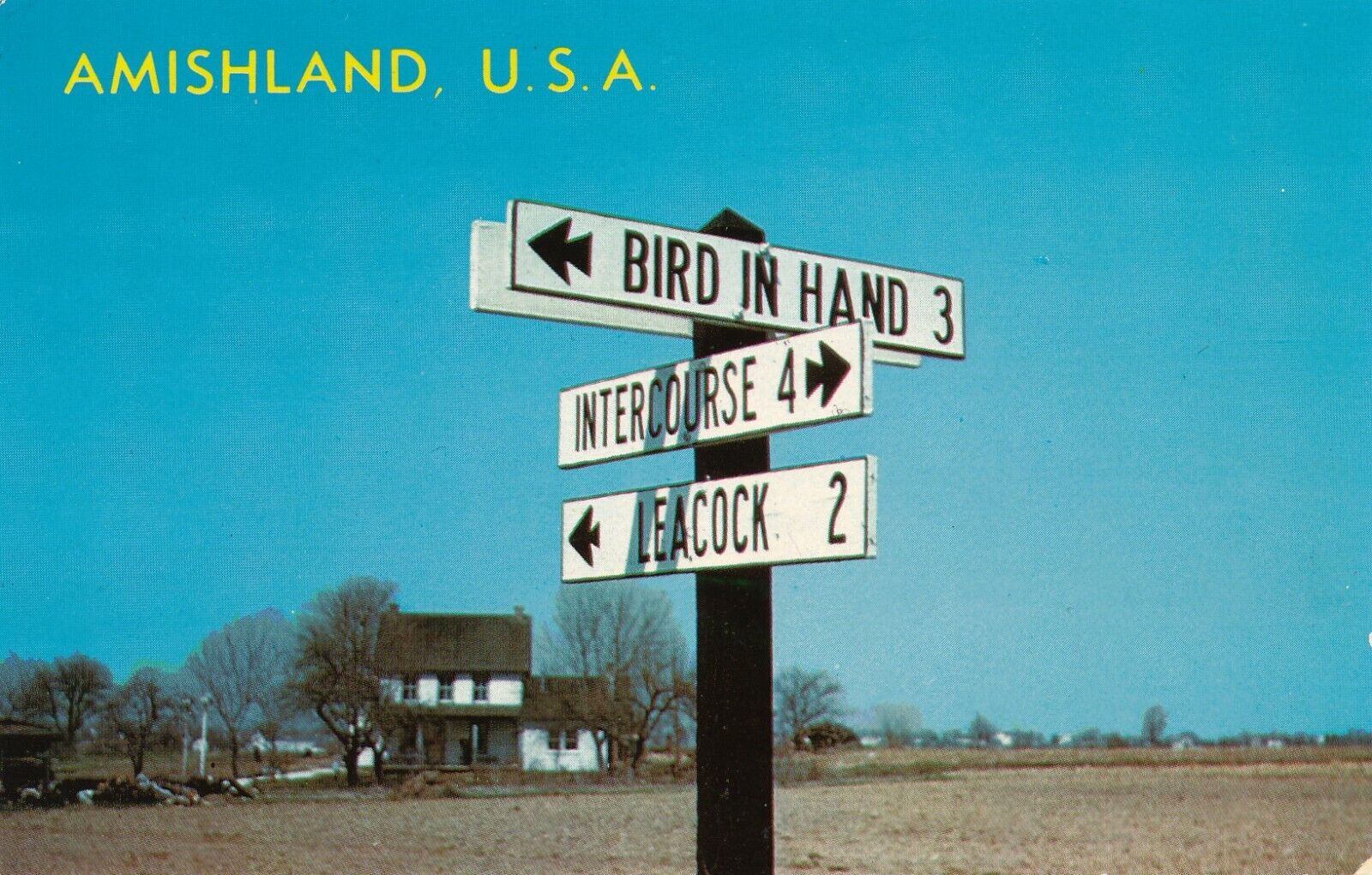 Amishland Road Signs, Pennsylvania 1969 vintage unposted