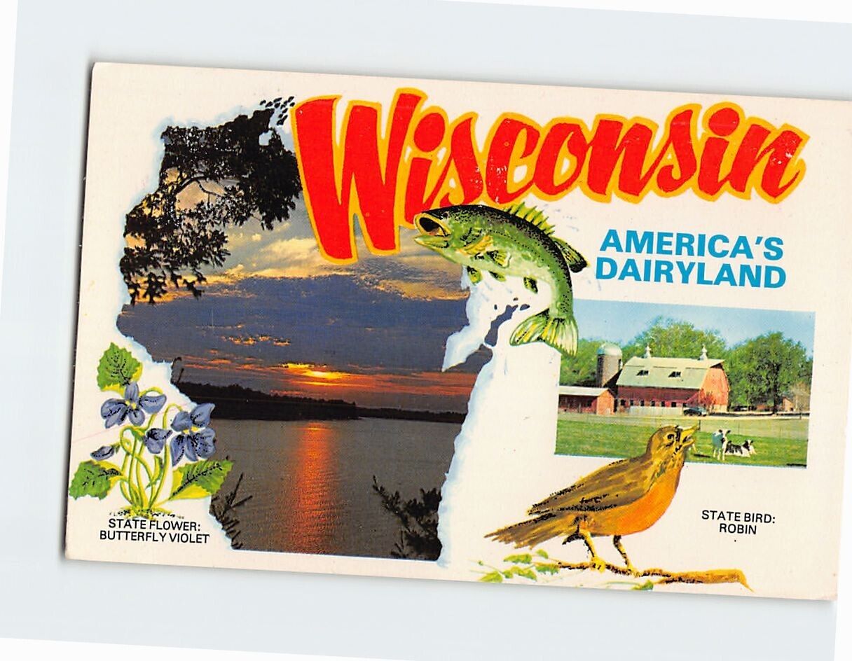 Postcard America\'s Dairyland Wisconsin USA