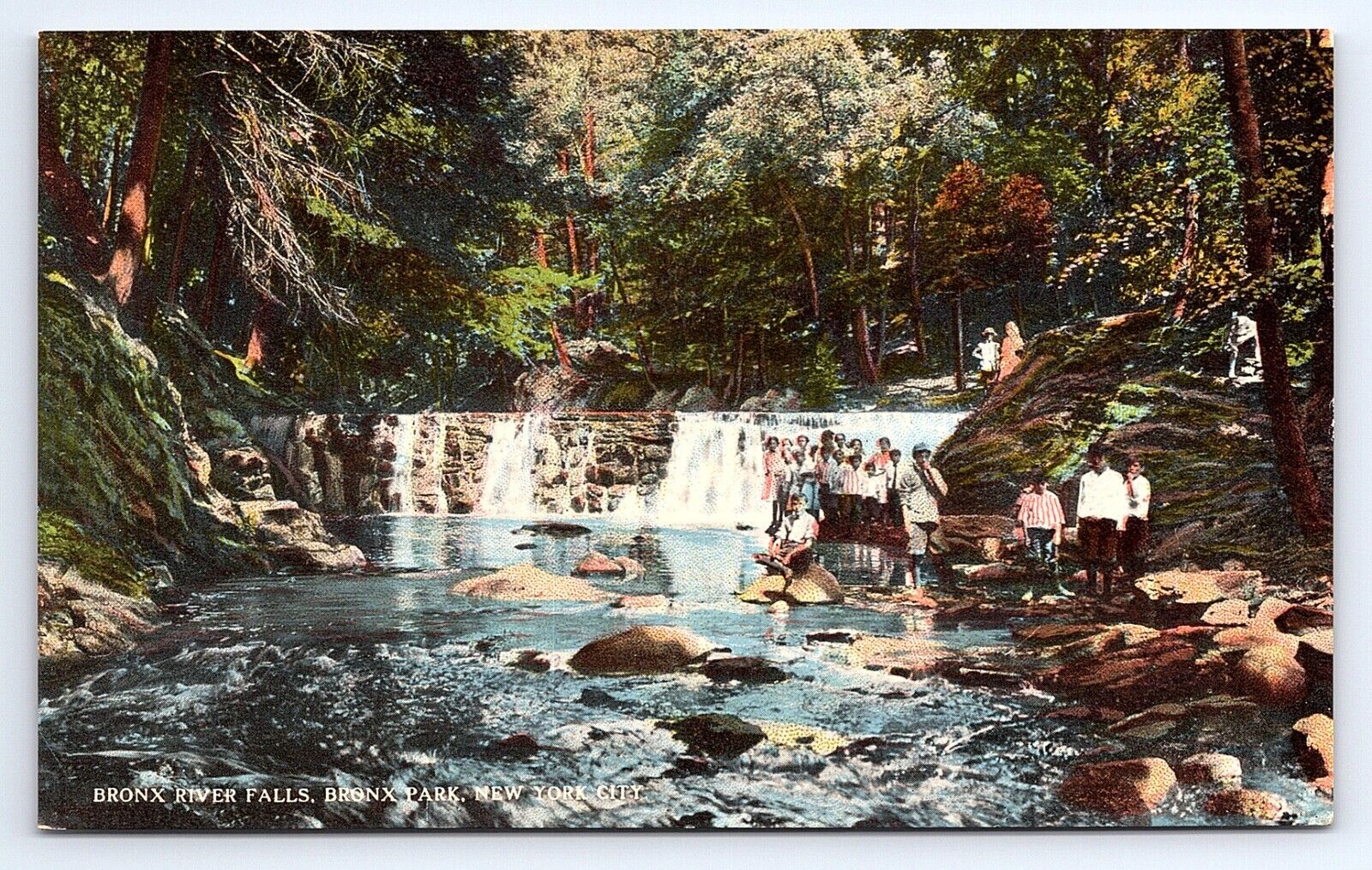 Postcard Bronx River Falls in Park, New York City NY
