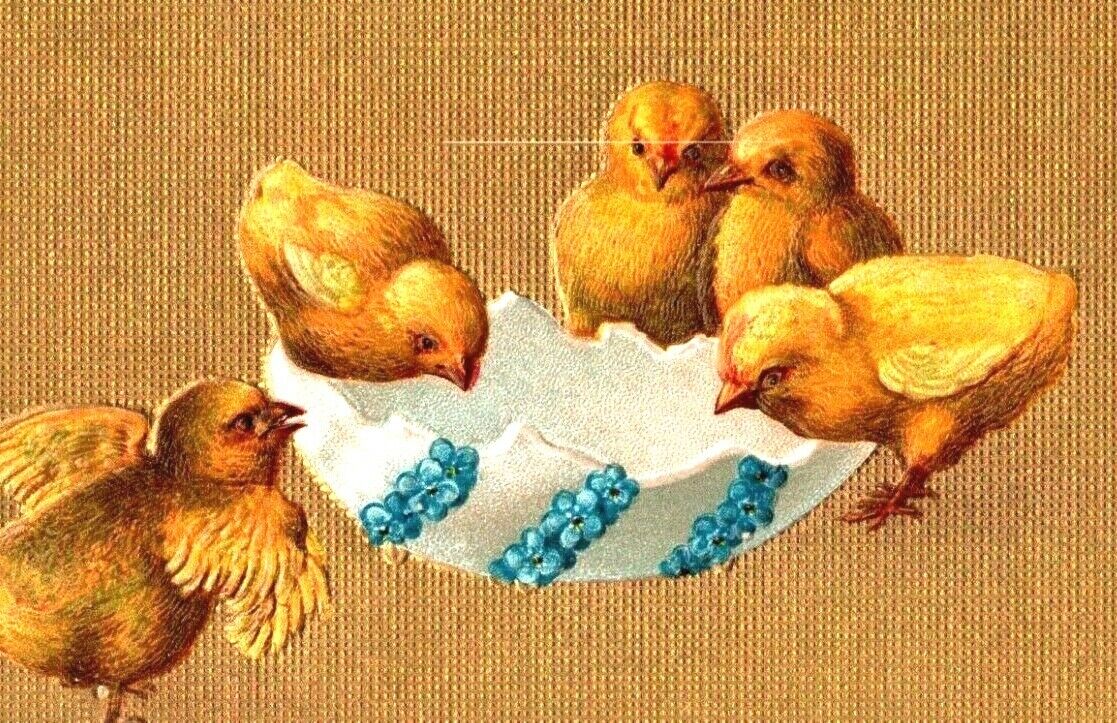 c1910 Antique Easter Postcard Hatched Golden Chicks Textured Gold A46