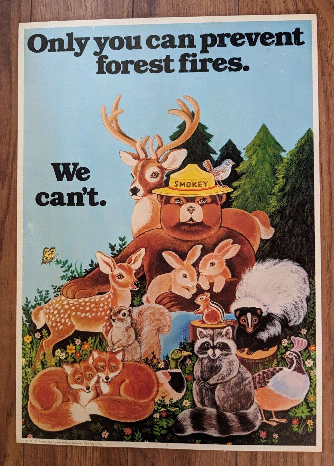 1979 Smokey The Bear - Only You Can Prevent Forest Fires - We Can\'t