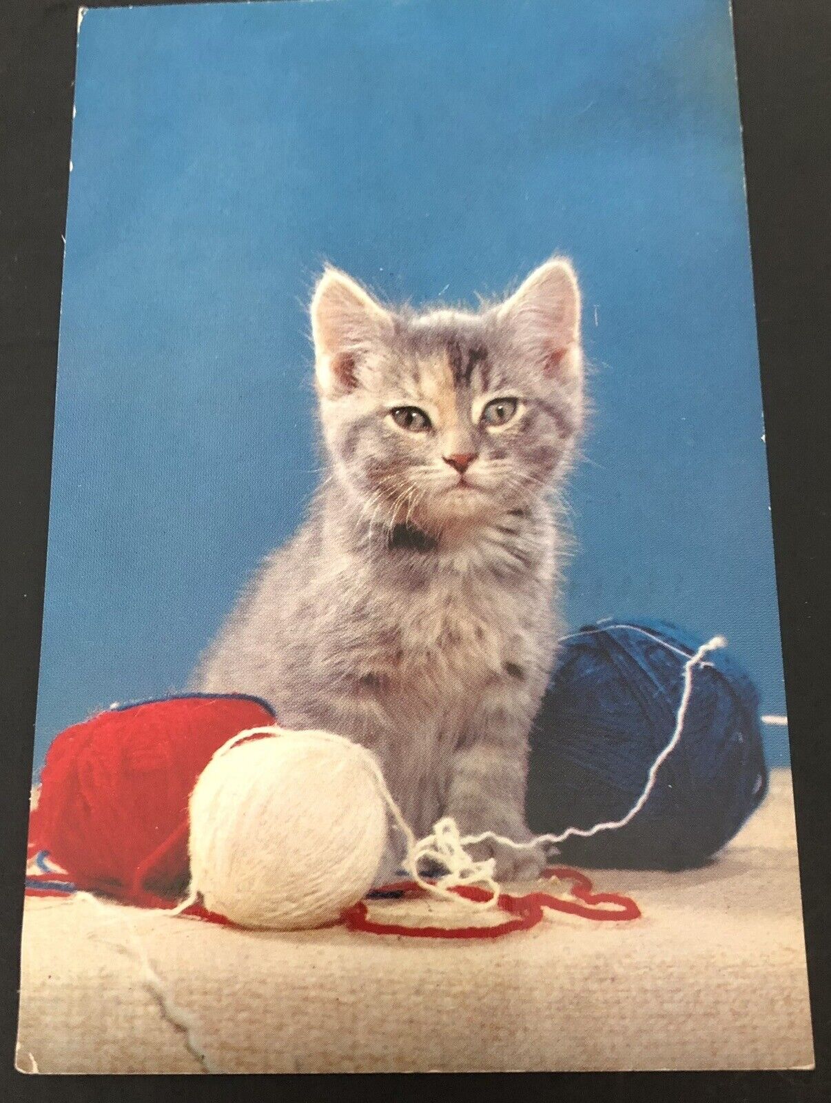 Vtg PostCard Adorable Grey Kitten Red White Blue Yarn “I Have A Yarn 4 U”c.1960