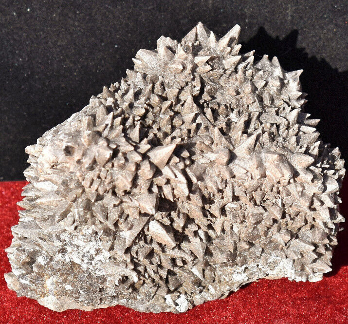 Large DOGTOOTH CALCITE Crystal Mineral Specimen * 5.5x4.5x3\