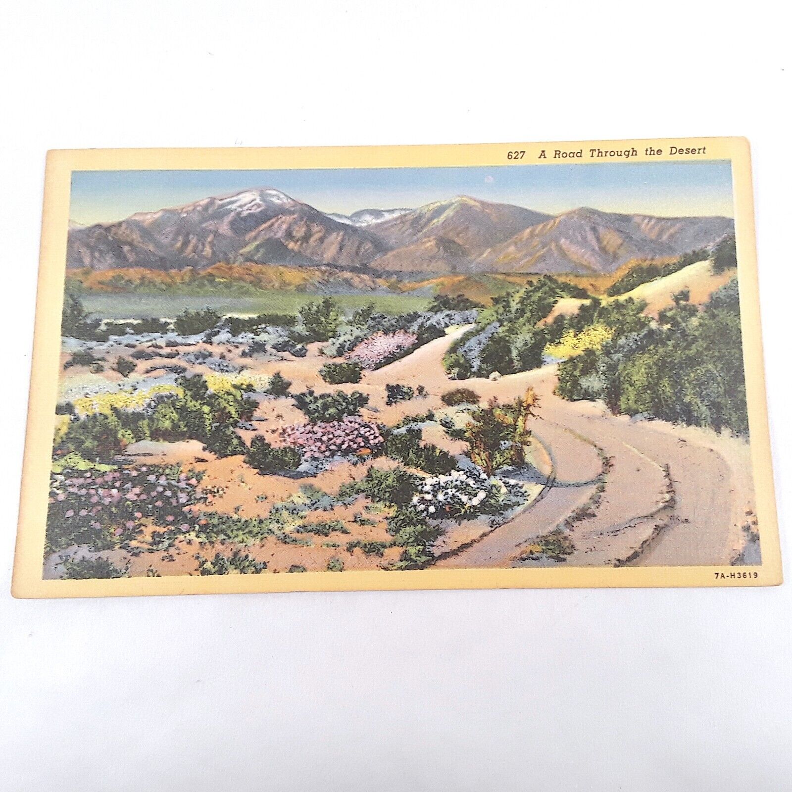 Picturesque -Spring in Southwest Desert- Scenic Landscape Postcard c1937