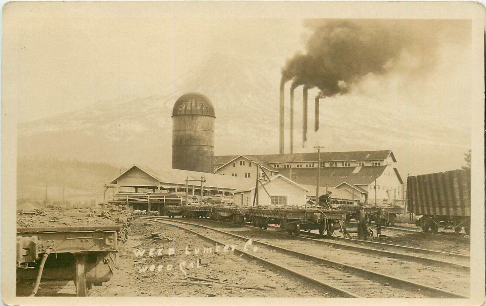 Postcard RPPC C-1910 California Weed Lumber railroad occupational CA24-2857
