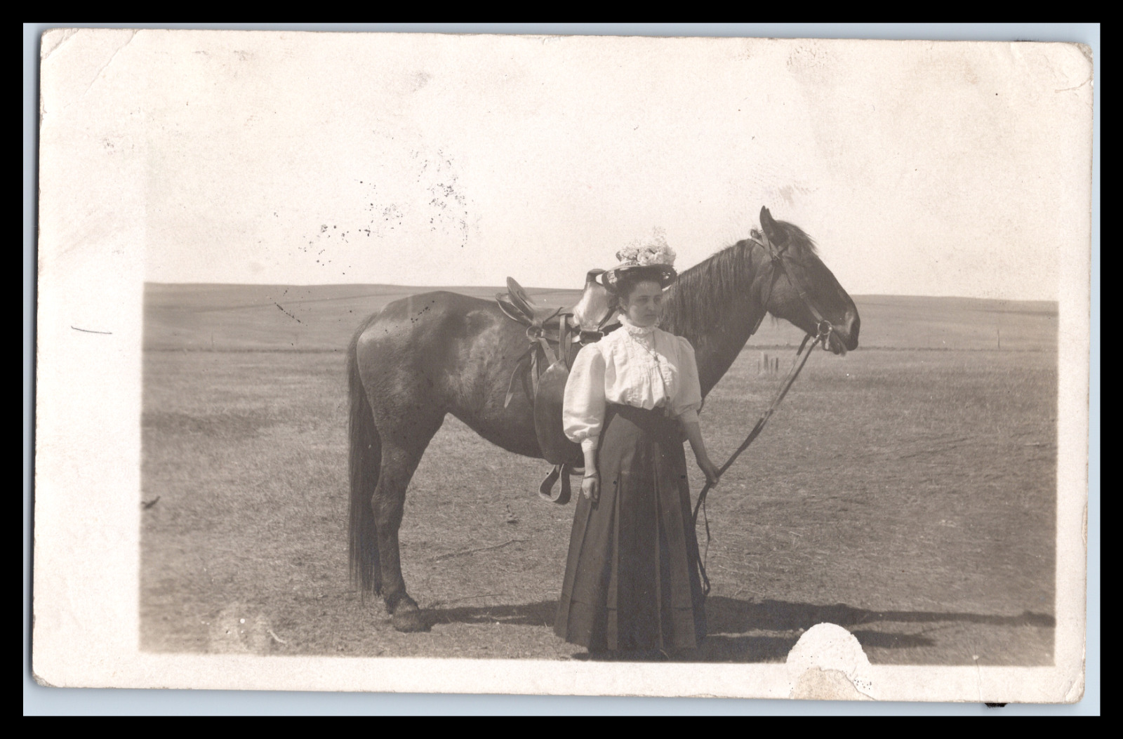 Vintage Postcards RPPC Edwardian Woman Holding Reins of a Horse Early 1900's