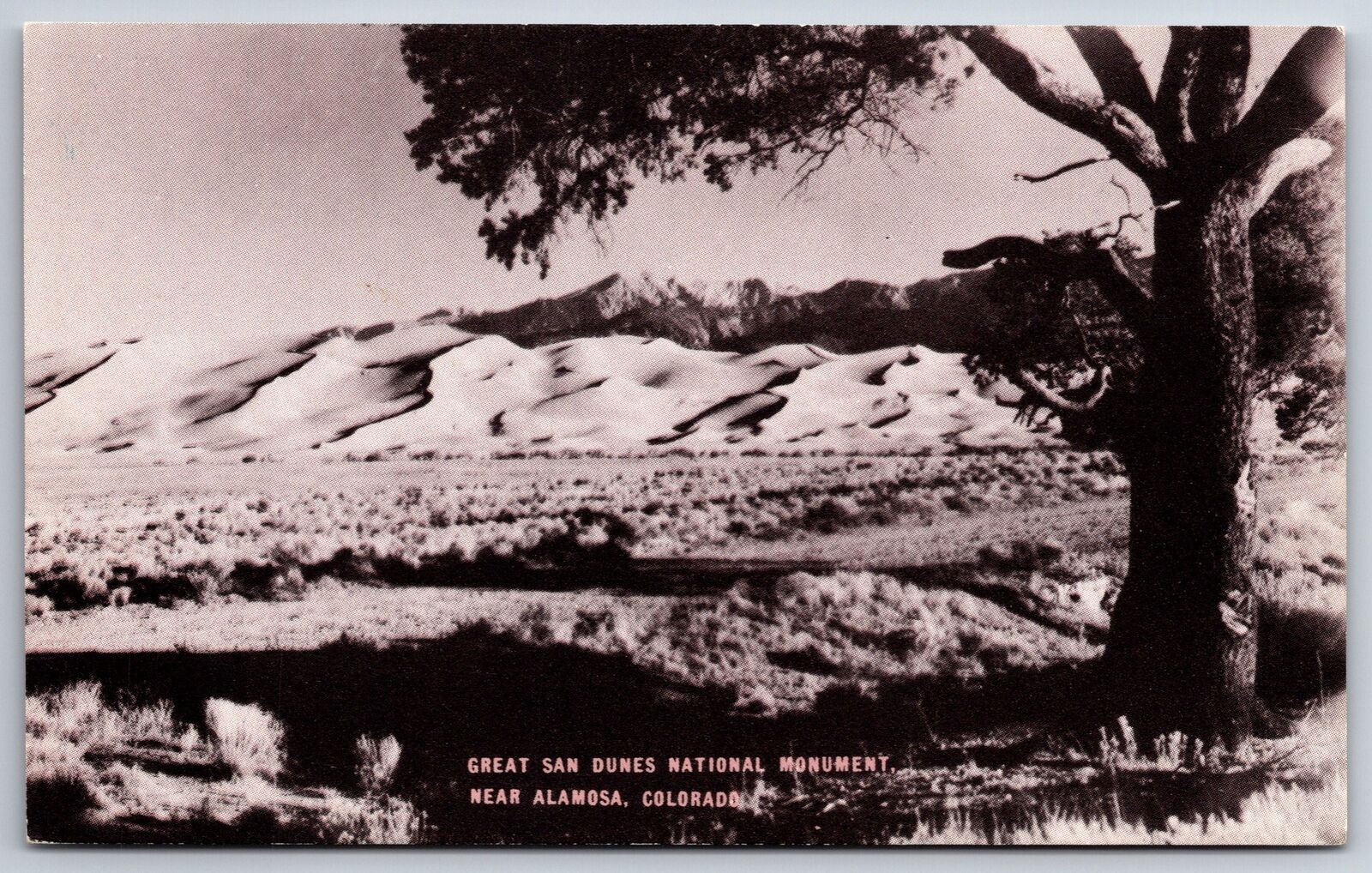 Alamosa Colorado~Great San Dunes Monument~Conoco Touraide~1939 B&W Postcard