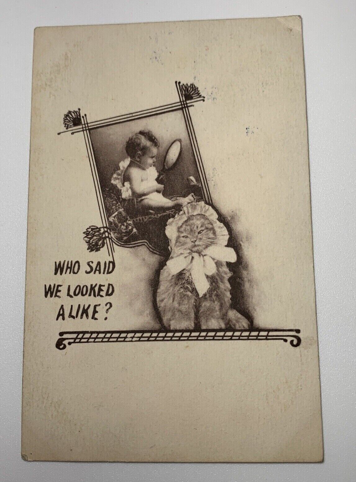Vintage Postcard Cat Bonnette Baby Mirror Who Said We Looked Alike 1910 Posted