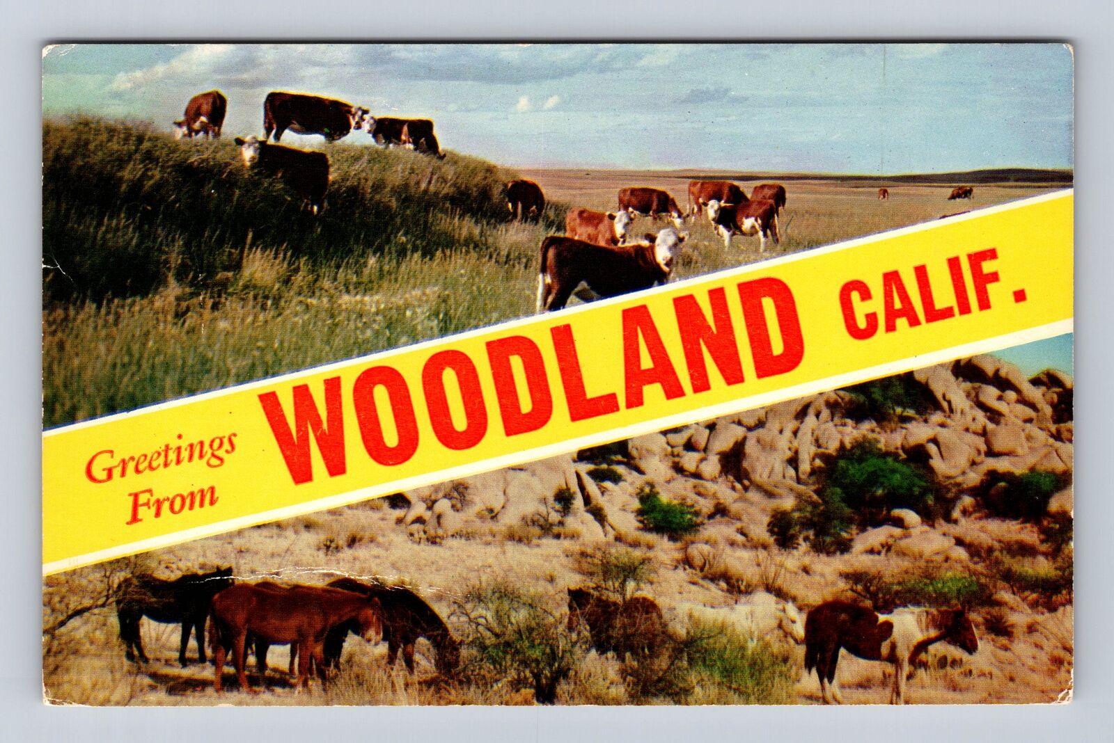 Woodland CA-California, General Banner Greeting, Antique Vintage Postcard