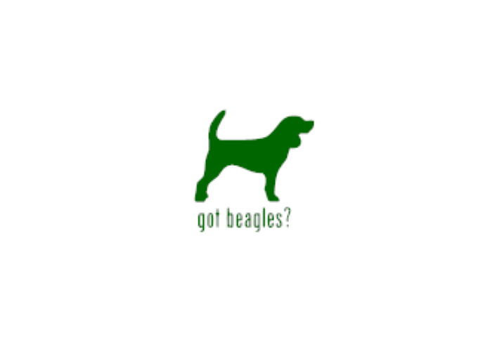 Got Beagles? Vinyl decal 