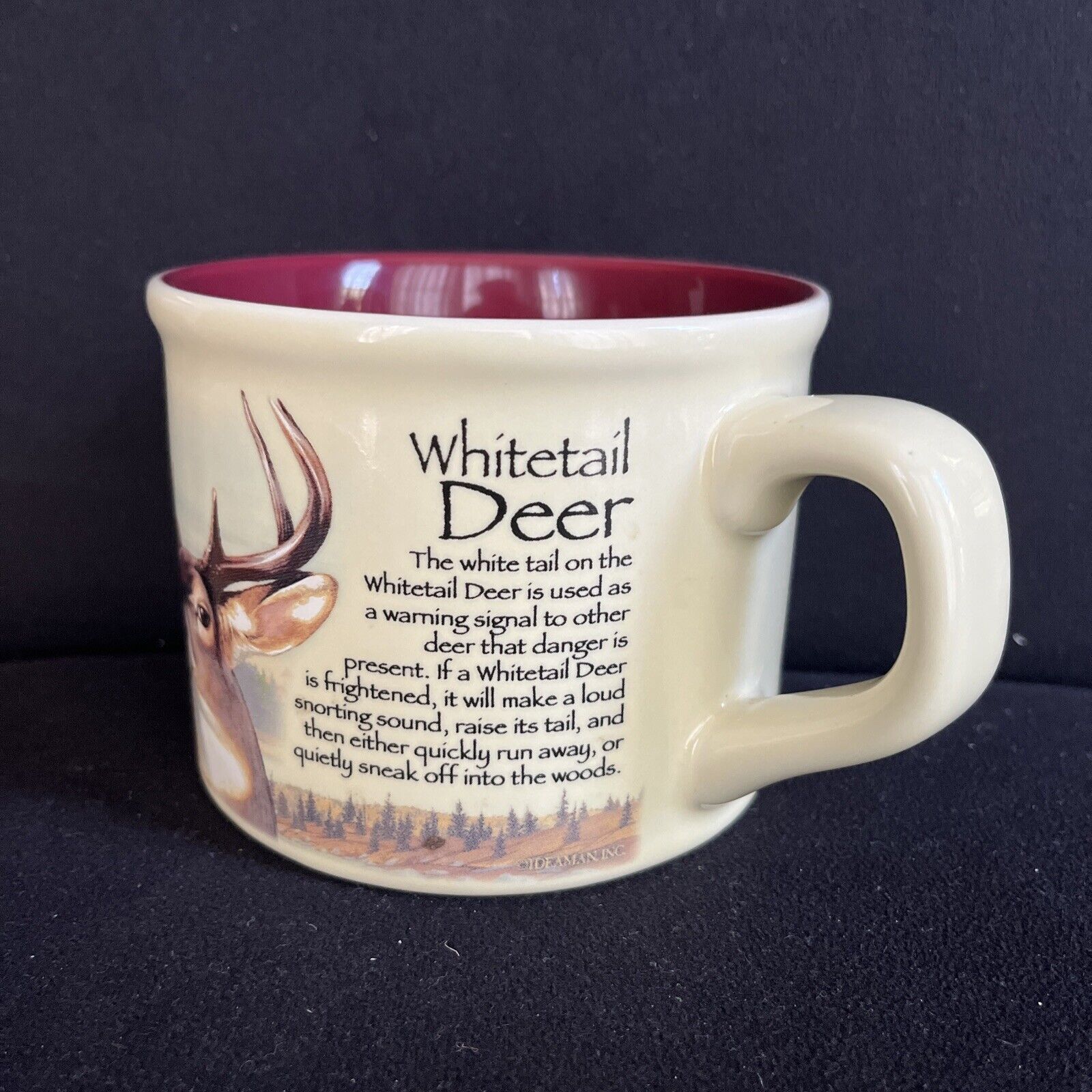 Whitetail Deer Soup Mug Modern Day Explorer American Expedition