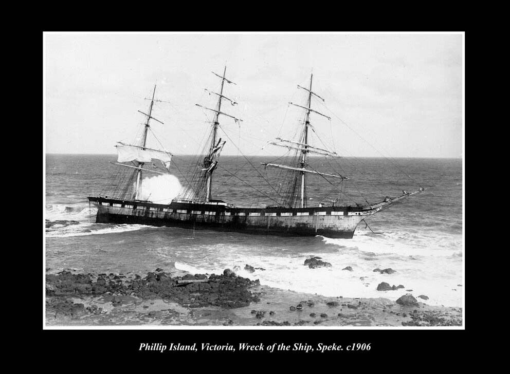 OLD POSTCARD SIZE PHOTO PHILLIP ISLAND VICTORIA THE SHIP WRECK SPEKE c1906