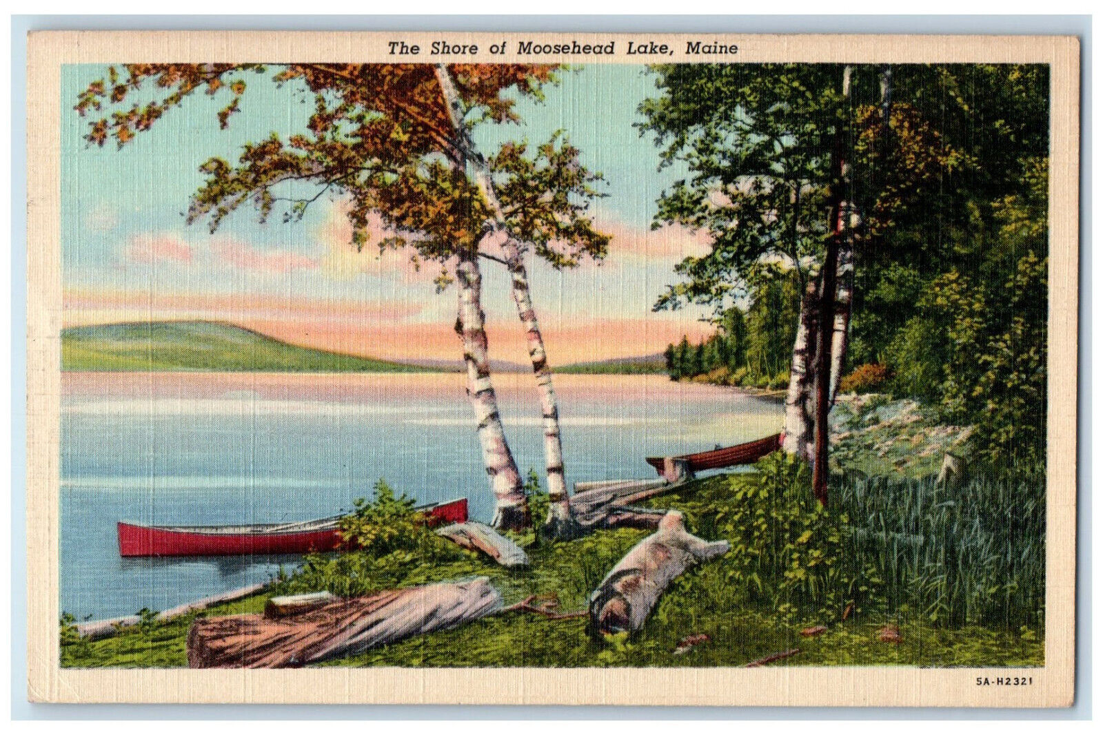 1949 Scenic View Of The Shore Of Moosehead Lake Maine ME, Boat Scene Postcard
