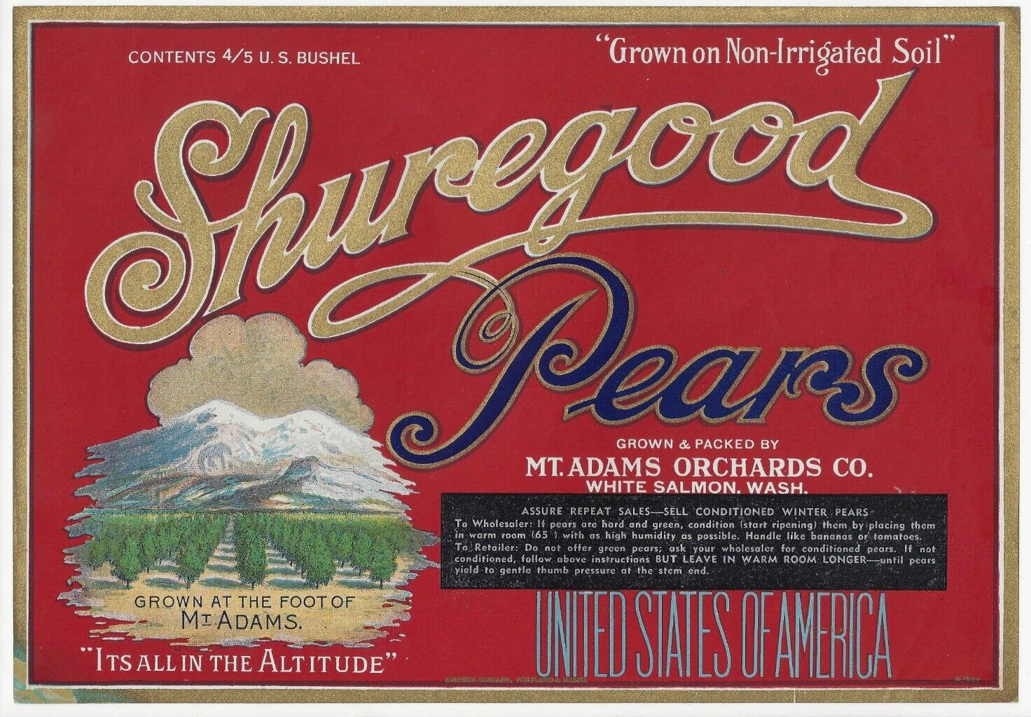 Original 1930s SHUREGOOD pear crate label White Salmon Washington Mt Adams red
