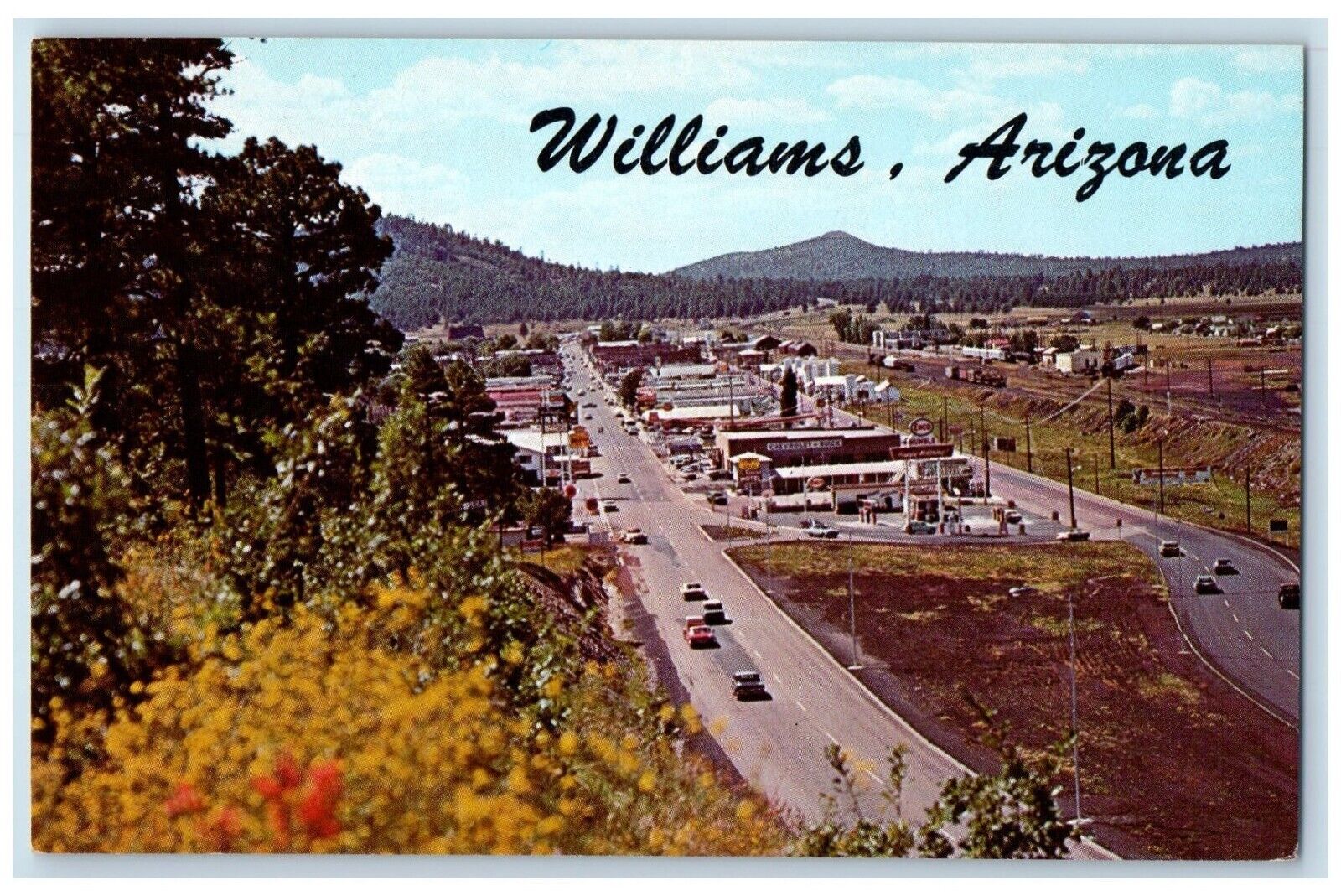 c1960 Grand Canyon North Elevation Road Street Cars Williams Arizona AZ Postcard
