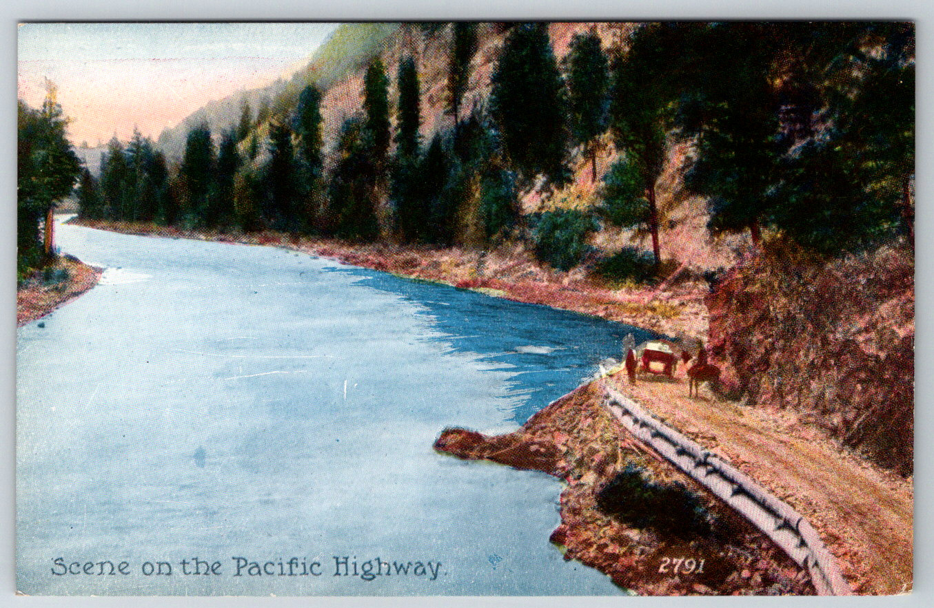 c1910s Pacific Highway Scene Antique Postcard