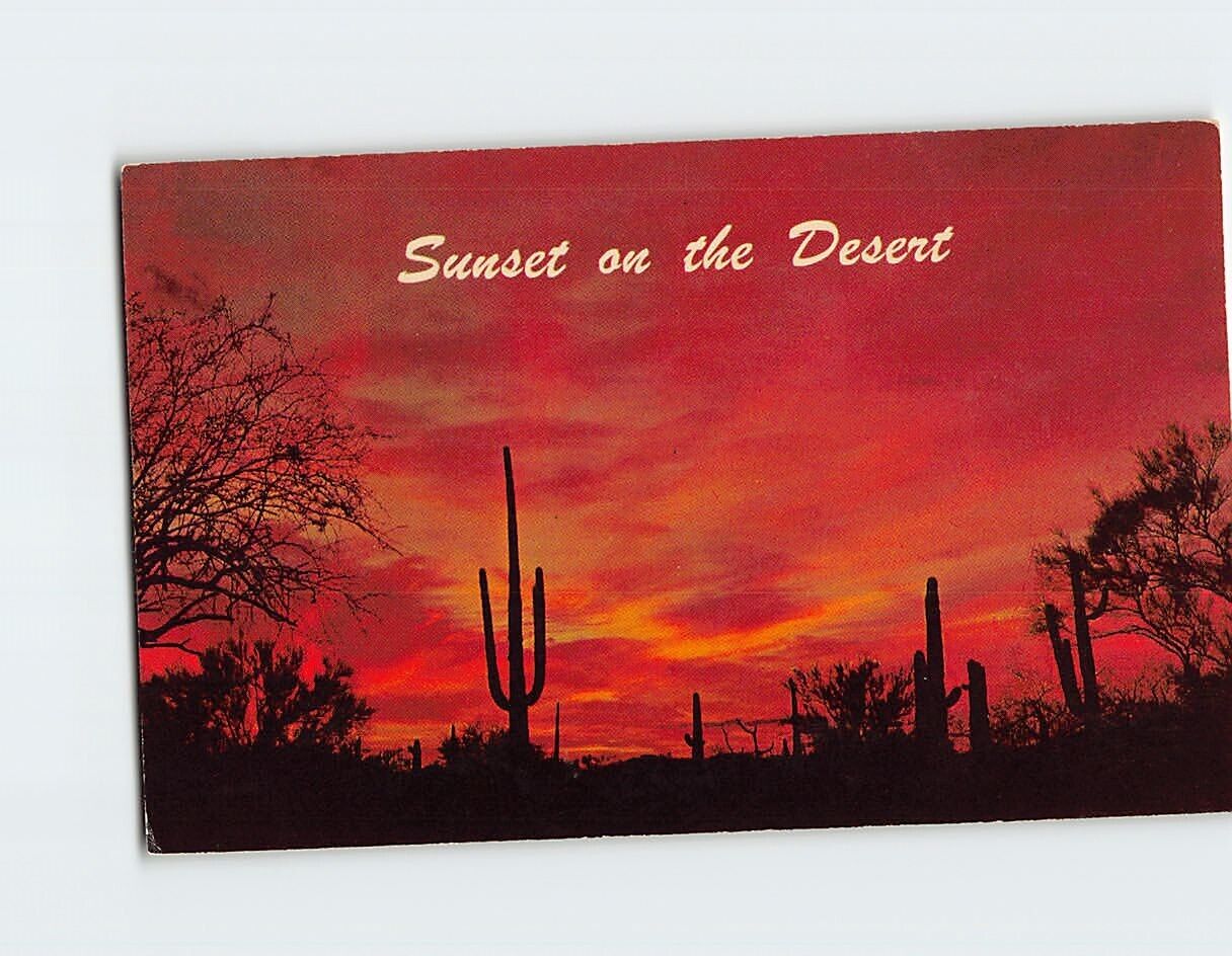 Postcard Twilight on the Desert / Sunset on the Desert