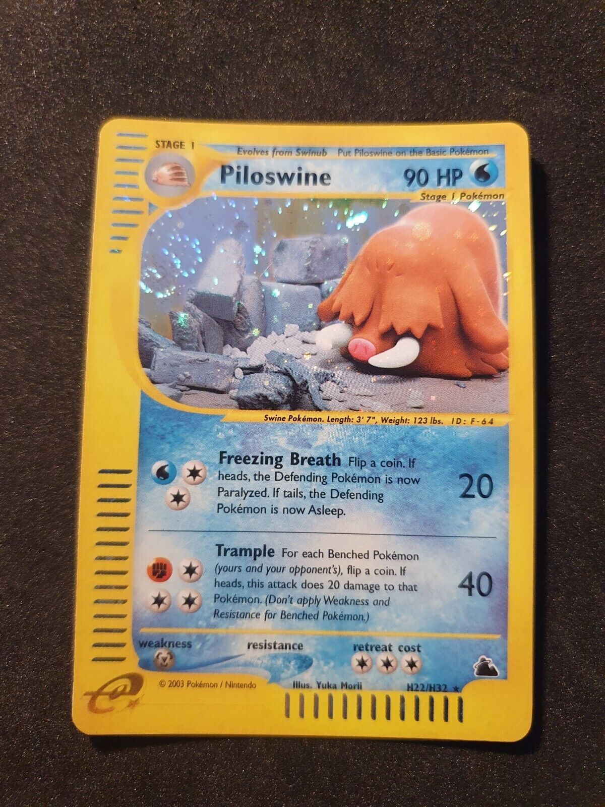 Piloswine H22/H32 holo ENG Skyridge Near Mint/Mint Pokémon Card Swirl