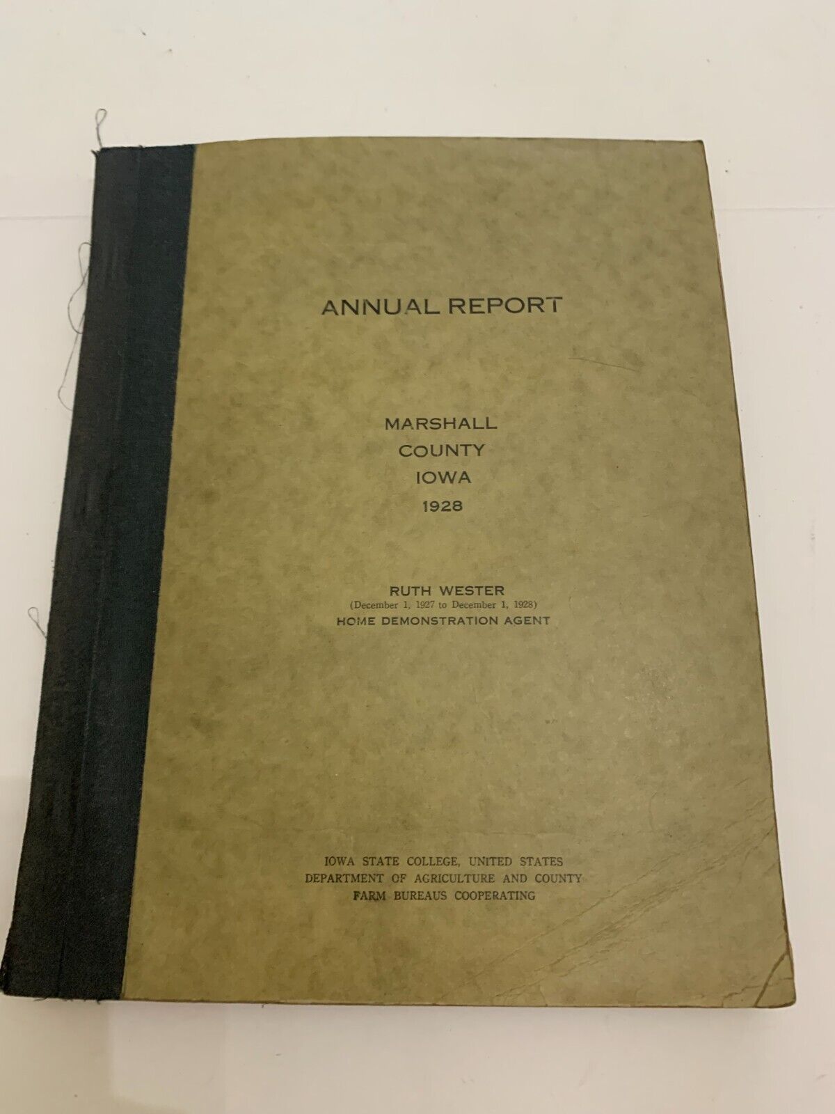 1928 Narrative Annual Report Home Demonstration Agent Marshall County Iowa