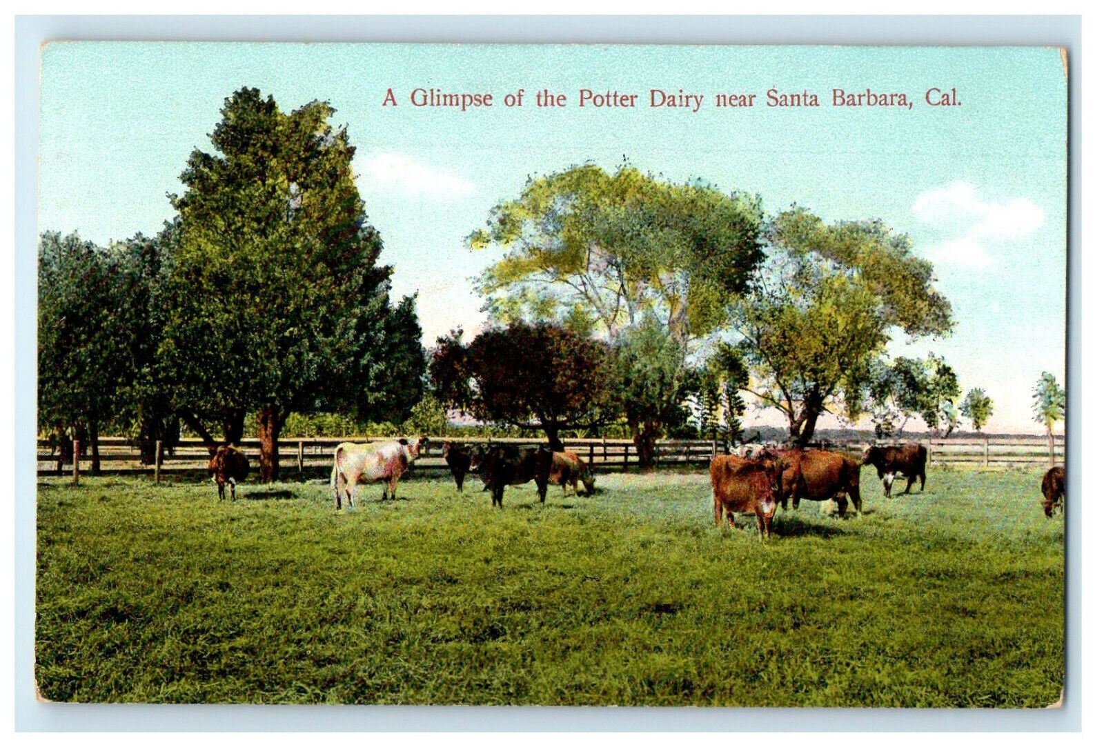 c1910s A Glimpse of the Potter Dairy Near Santa Barbara California CA Postcard