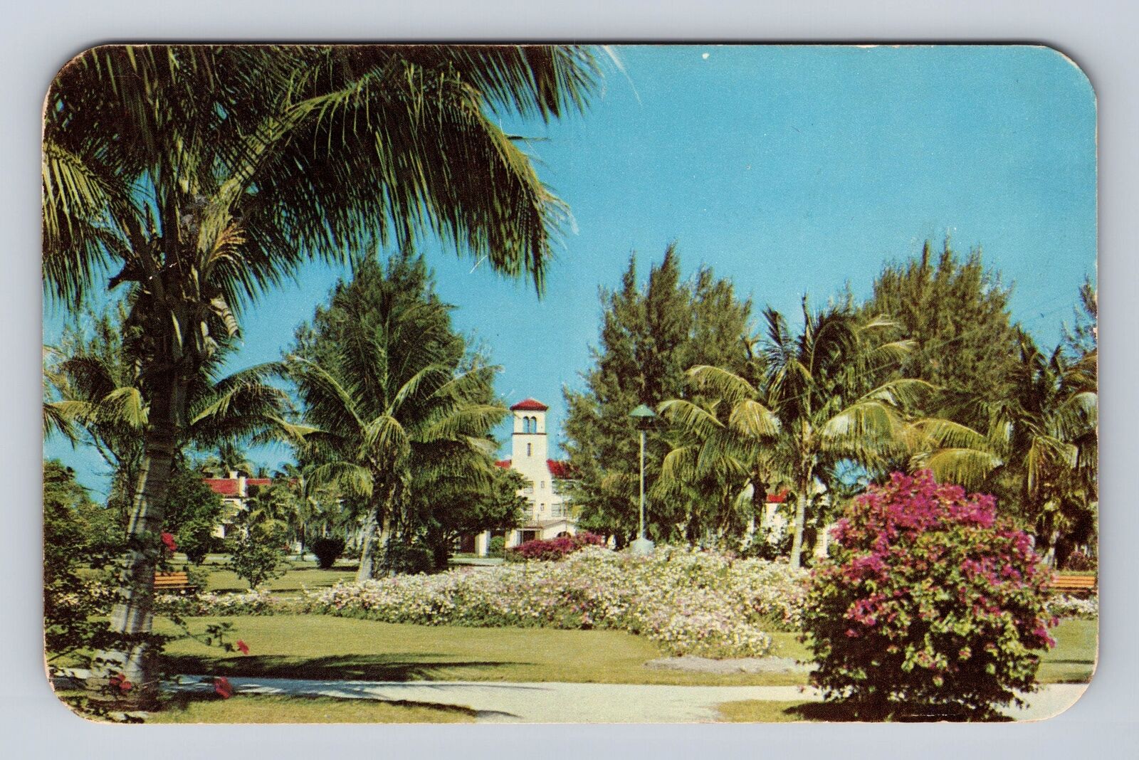 Hollywood FL-Florida, Harding Circle, Parkview Hotel, Antique Vintage Postcard