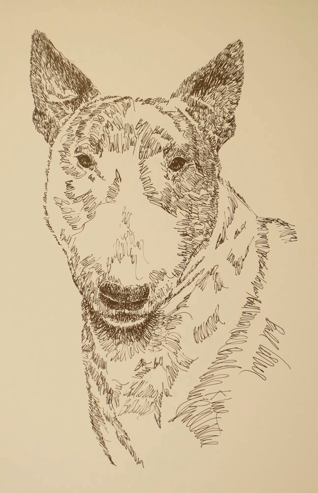 Bull Terrier Dog Art Portrait Print #50 Kline adds dog name free. WORD DRAWING