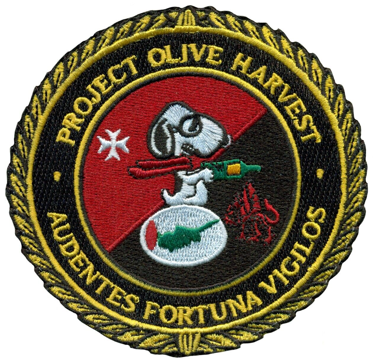 USAF 1st EXPEDITIONARY RECONNAISSANCE SQUADRON PROJECT OLIVE HARVEST PATCH